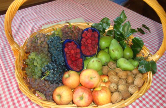 Prima colazione in fattoria (2)