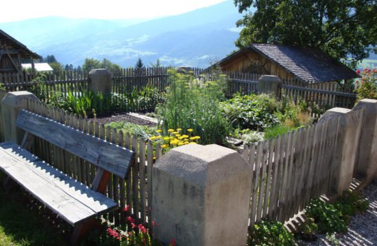 Prima colazione in fattoria (3)