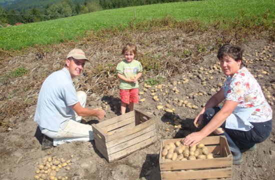 hofprodukte-schnagererhof (4)