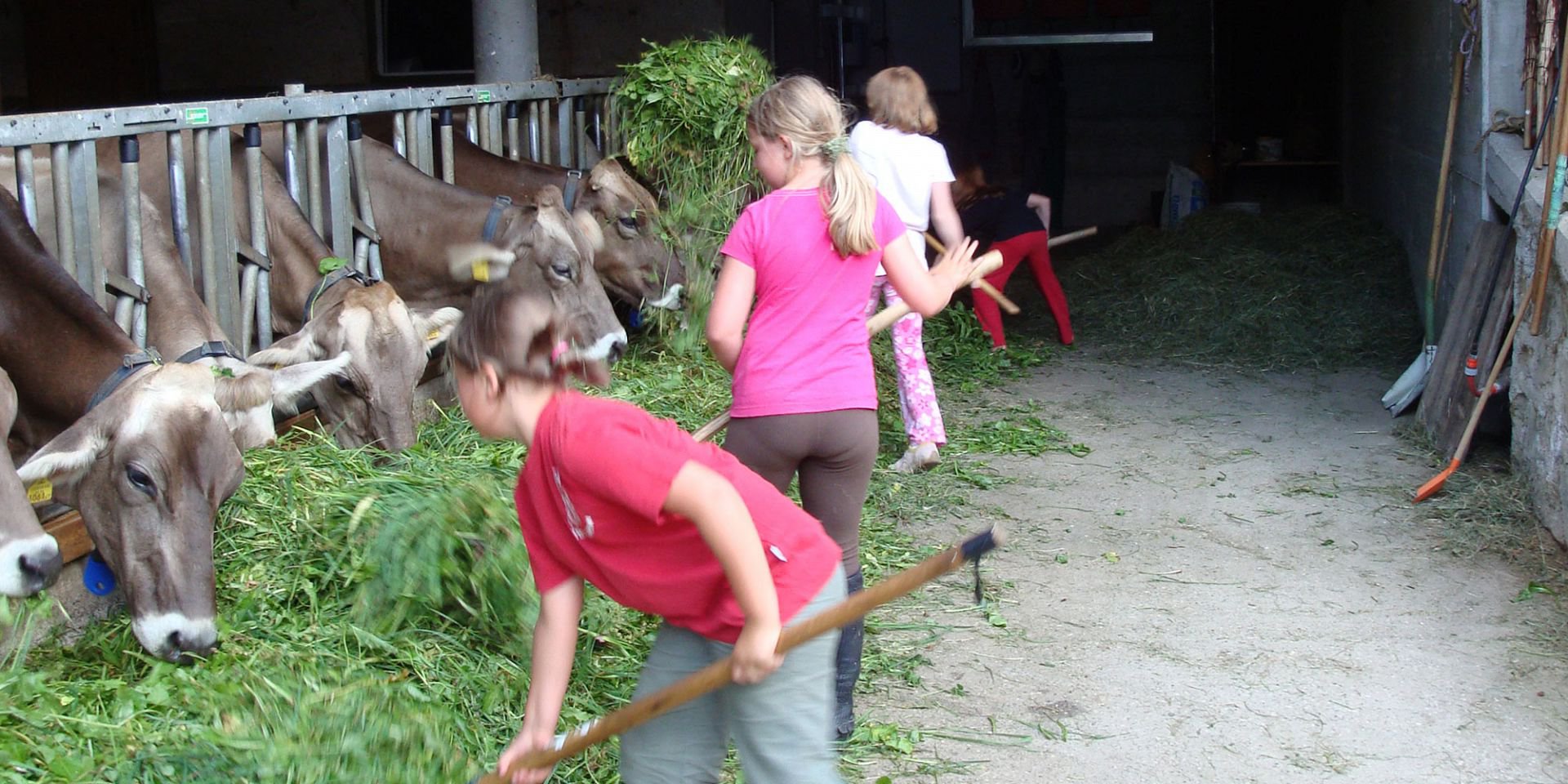 The supervised stable time