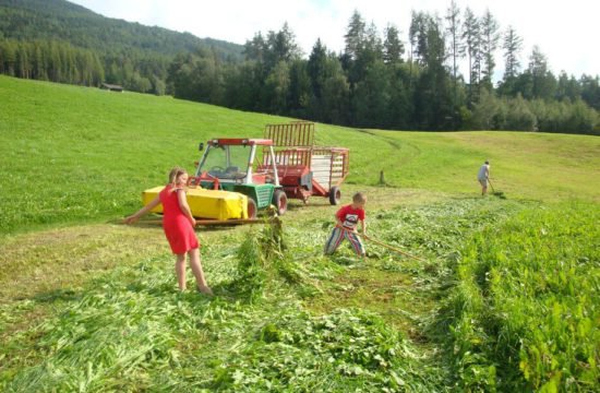 schnagererhof-brixen-st-andrae (18)