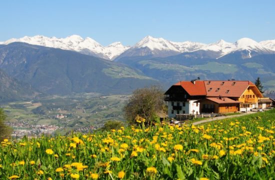 schnagererhof-brixen-st-andrae (2)