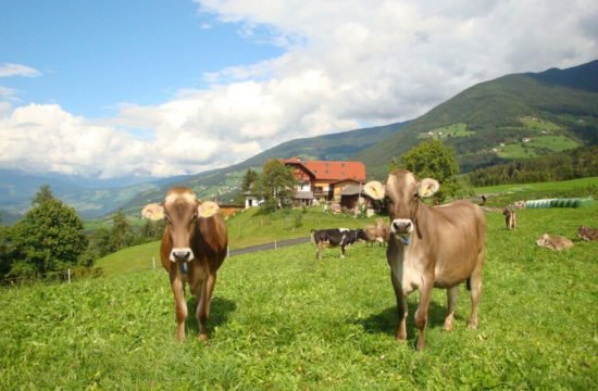 schnagererhof-brixen-st-andrae (28)