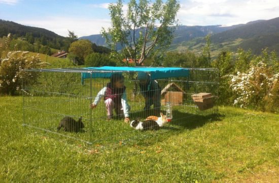 schnagererhof-brixen-st-andrae (35)