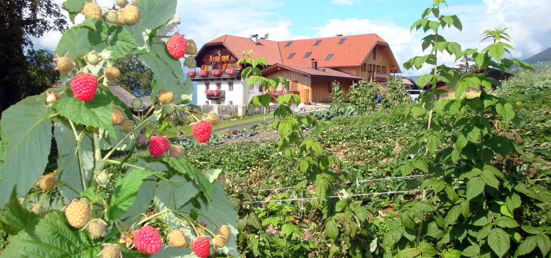 schnagererhof-hofprodukte