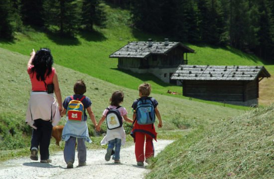 Offerta Fine Estate